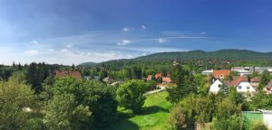 panorama_F (Large)