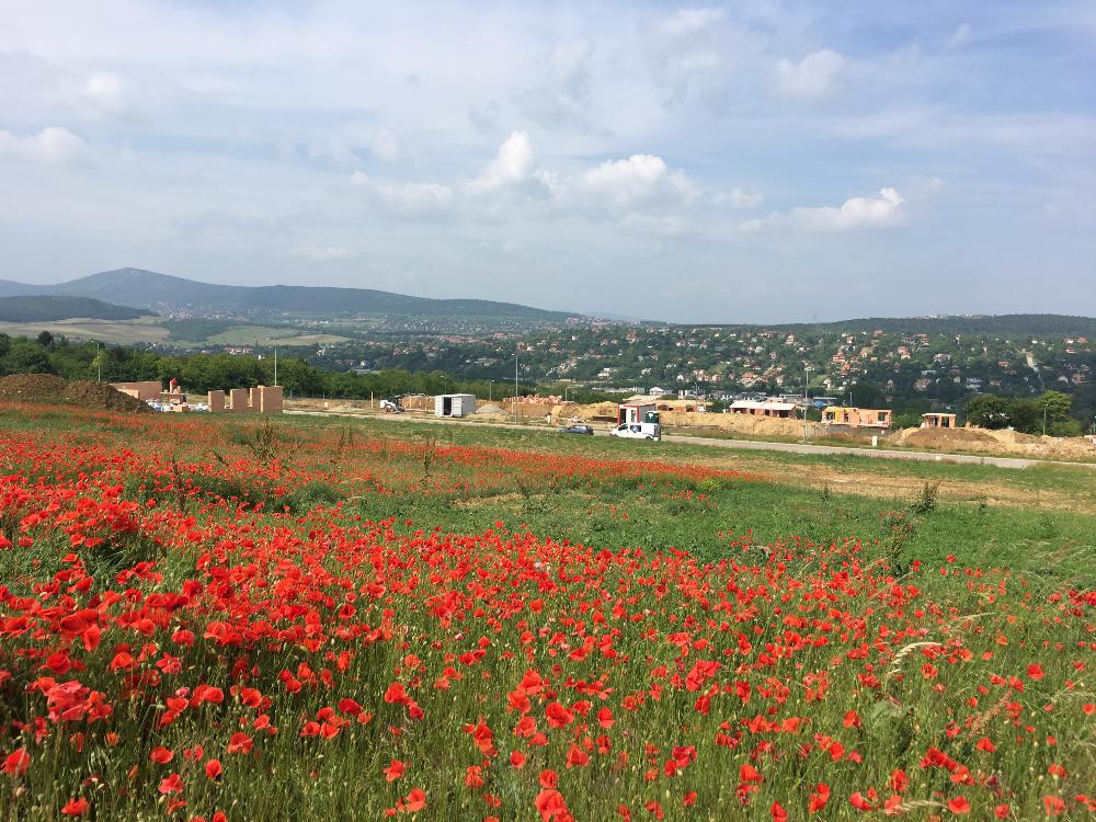 Csodálatos panorámával